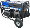 Бензиновый генератор ТСС PROF GGW 3.0/300E